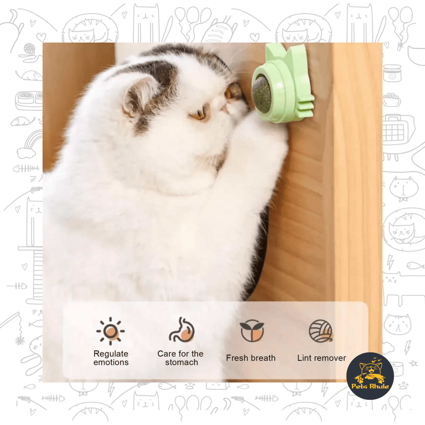 Catnip Ball Toy actual