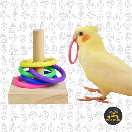 Bird Training Toys Set Wooden Block Puzzle Toys